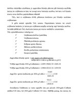 Prakses atskaite 'Prakses vieta - SIA "Meistars A"', 7.