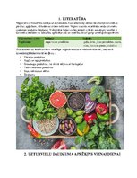 Referāts 'Vienas personas vienas dienas ēdienkarte', 4.