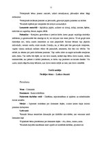 Prakses atskaite 'Kvalifikācijas prakse pirmsskolas izglītības iestādē', 11.