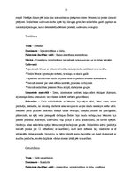 Prakses atskaite 'Kvalifikācijas prakse pirmsskolas izglītības iestādē', 13.