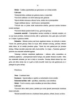 Prakses atskaite 'Kvalifikācijas prakse pirmsskolas izglītības iestādē', 14.