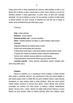 Prakses atskaite 'Kvalifikācijas prakse pirmsskolas izglītības iestādē', 17.