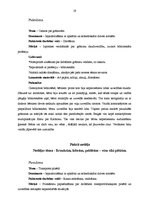 Prakses atskaite 'Kvalifikācijas prakse pirmsskolas izglītības iestādē', 19.