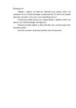 Referāts 'Polijas sovjetizācija', 8.