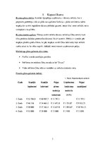 Biznesa plāns 'Biznesa plāns dāvanu veikalam', 3.