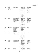 Biznesa plāns 'Biznesa plāns dāvanu veikalam', 8.