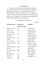 Biznesa plāns 'Biznesa plāns dāvanu veikalam', 19.