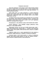 Biznesa plāns 'Biznesa plāns', 3.