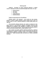 Biznesa plāns 'Biznesa plāns', 4.