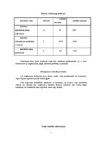 Biznesa plāns 'Biznesa plāns', 5.