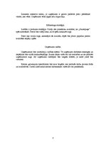 Biznesa plāns 'Biznesa plāns', 8.