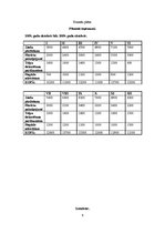 Biznesa plāns 'Biznesa plāns', 9.