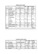 Biznesa plāns 'Biznesa plāns', 10.