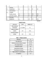 Biznesa plāns 'Biznesa plāns', 11.