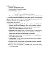 Konspekts 'Latvijas augšņu veidošanās process', 6.