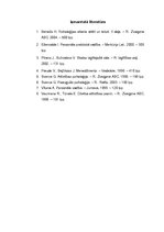 Eseja 'Vadības ietekme uz skolas kolektīva saliedētību', 6.