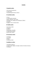 Referāts 'Skaņdarba "Zemes bērns" analīze', 2.
