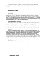 Referāts 'Skaņdarba "Zemes bērns" analīze', 8.