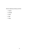 Biznesa plāns 'SIA "Kociņš"', 18.