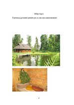 Biznesa plāns 'SIA "Kociņš"', 21.