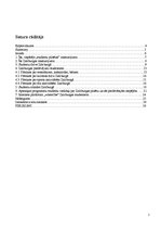 Referāts 'Studentu pilsēta - Zalcburga', 2.