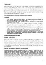 Referāts 'Studentu pilsēta - Zalcburga', 24.