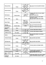 Referāts 'Studentu pilsēta - Zalcburga', 41.