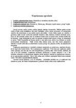 Biznesa plāns 'Fitnesa klubs "Underground"', 4.