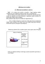 Referāts 'SIA "CIDO" mārketinga vides un stratēģijas analīze un darbības plānošana', 30.