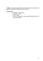 Referāts 'SIA "CIDO" mārketinga vides un stratēģijas analīze un darbības plānošana', 41.