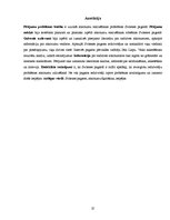 Referāts 'Atkritumu realizēšanas problēmas', 25.