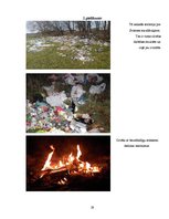 Referāts 'Atkritumu realizēšanas problēmas', 28.