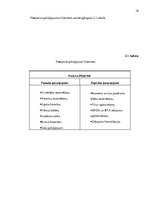 Referāts 'Tūrisma aģentūras "Kolumbs" iekšējās un ārējās vides analīze', 18.