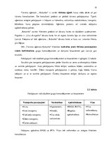 Referāts 'Tūrisma aģentūras "Kolumbs" iekšējās un ārējās vides analīze', 19.