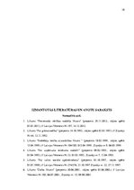 Referāts 'Tūrisma aģentūras "Kolumbs" iekšējās un ārējās vides analīze', 38.