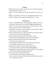 Referāts 'Tūrisma aģentūras "Kolumbs" iekšējās un ārējās vides analīze', 39.