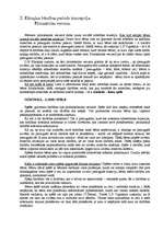 Referāts 'Pirmsskolnieku psiholoģiskais portrets', 4.