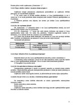 Biznesa plāns 'IK "Konsultants-L"', 25.