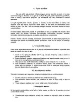 Konspekts 'Pārtikas produktu izmantošana sejas, ķermeņa skaistumkopšanā', 6.