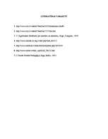 Referāts 'Alkoholisms', 17.