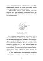 Referāts 'Nafta', 6.