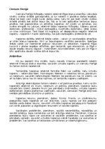 Konspekts 'Kopienas rīcībspējas analīze', 2.