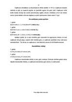 Biznesa plāns 'IK "R" - viesu nams', 22.