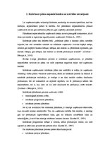 Referāts 'Ābolu ražošanas plāns zemnieku saimniecībā "Sīpoliņš"', 4.