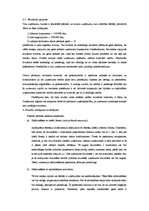 Konspekts 'Finanšu pārskati', 4.