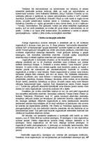 Referāts 'Kultūra', 13.