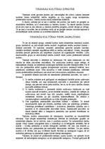 Referāts 'Kultūra', 21.