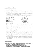 Paraugs 'Civilās aizsardzības plāns', 34.