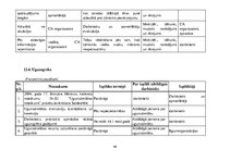 Paraugs 'Civilās aizsardzības plāns', 46.