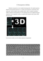 Referāts 'Stereogrammas', 8.